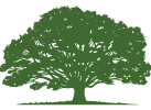 logo-arbre-green