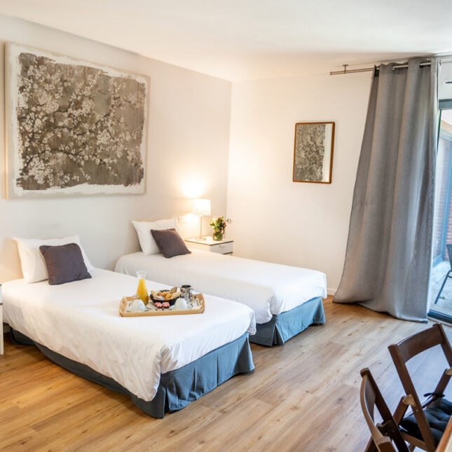 Hôtel Le Patio Occitan - Chambre TWIN 2 lits