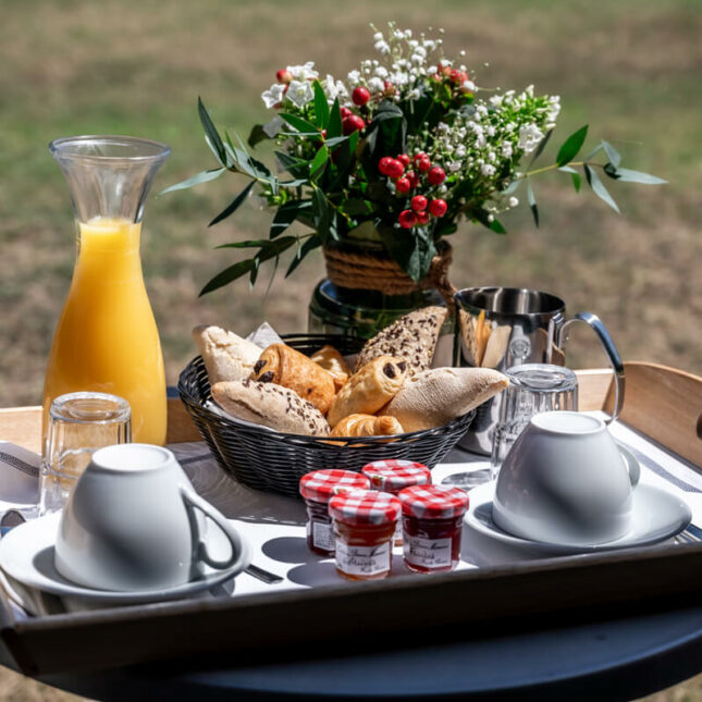 Hôtel Le Patio Occitan présentant le petit déjeuner sur la terrasse ensoleillée